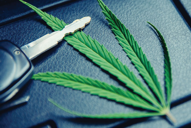 Recreational-Marijuana-in-Montana-–-What-Employers-Should-Know